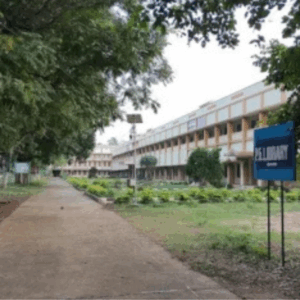 untitled design 2025 11 18t064031.622